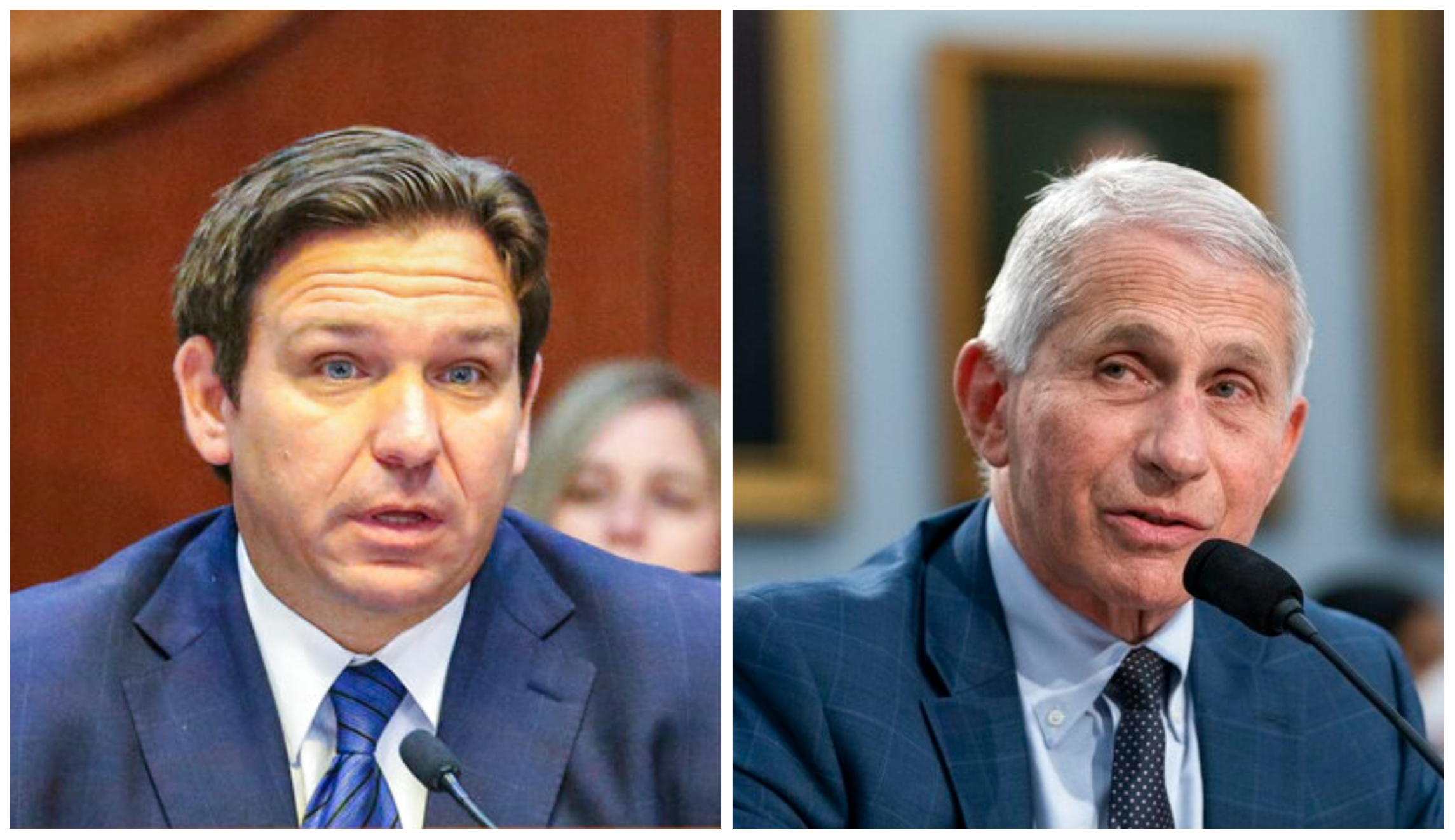 NextImg:DeSantis sets his sights on ‘tyrants’ like Fauci for actions during COVID-19 pandemic