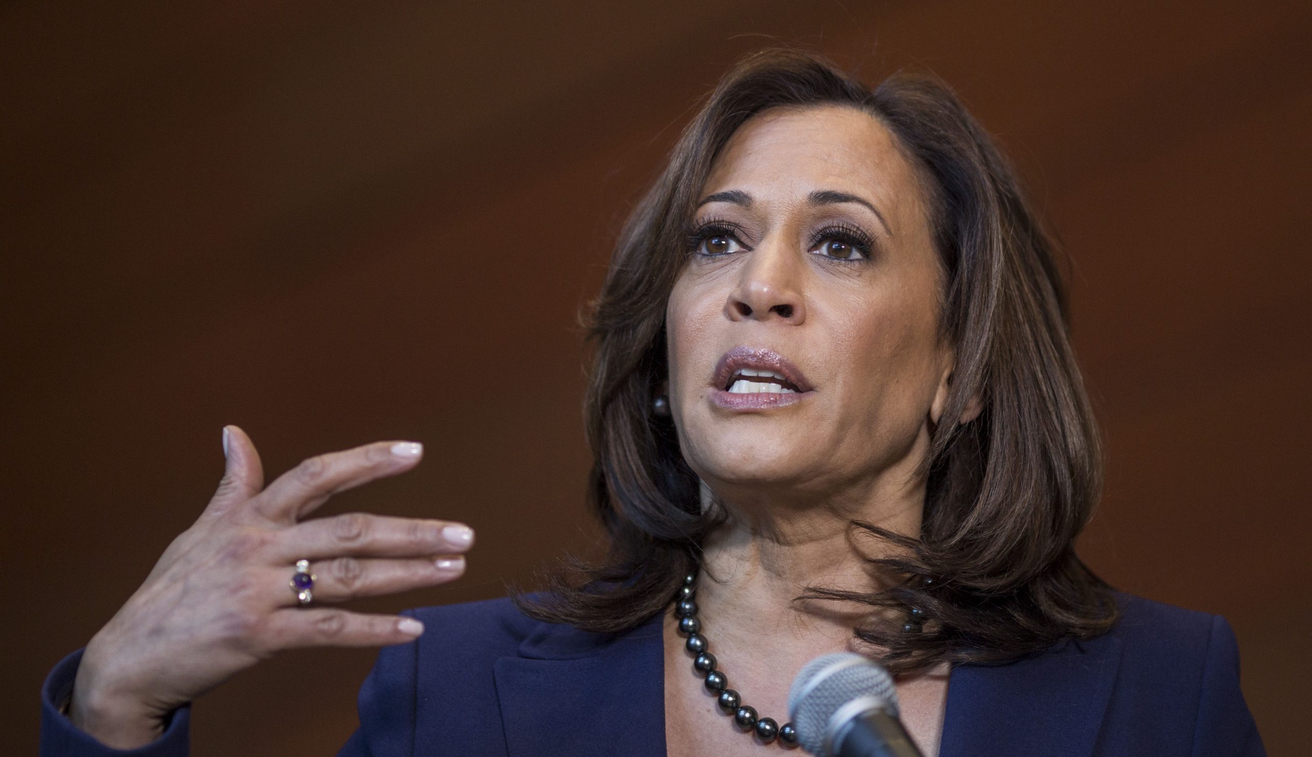 Sex worker industry skeptical of Kamala Harris conversion to backing ...