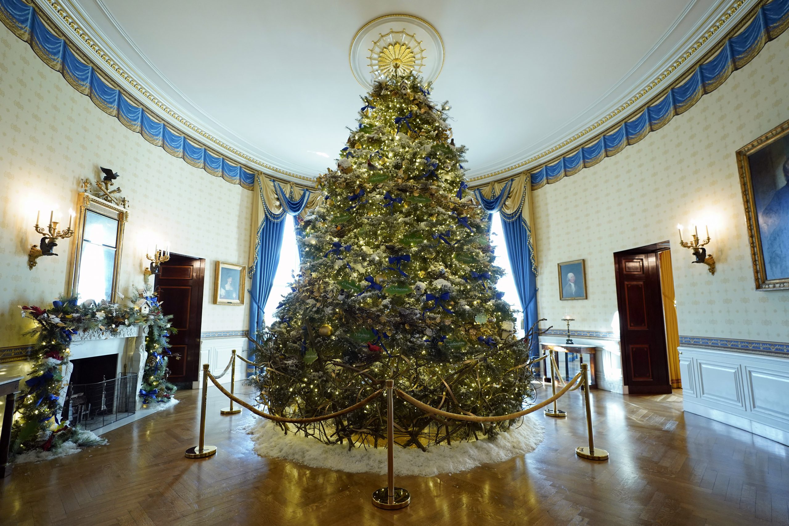 WATCH It’s officially Christmas at the White House as National tree