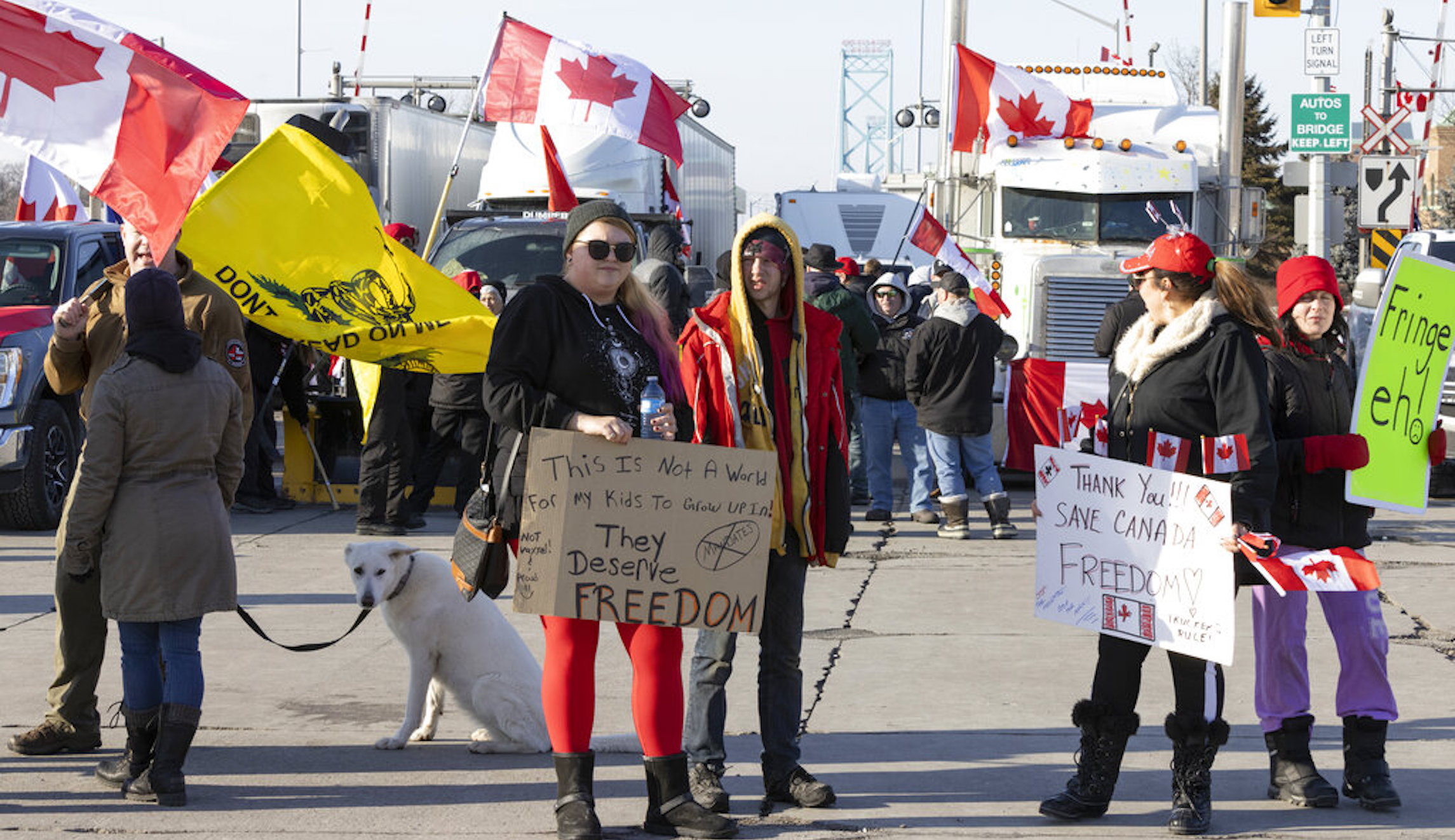 Three Canadian Border Crossings Now Blocked As ‘Freedom Convoy ...