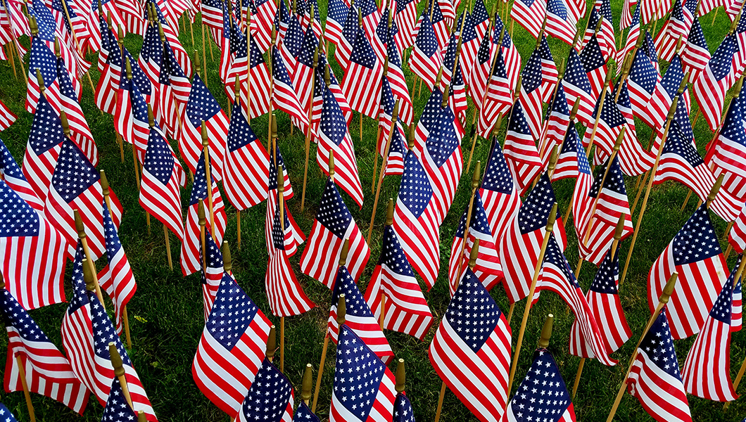 A large grouping of American flags set in green grass, with a diminishing perspective.