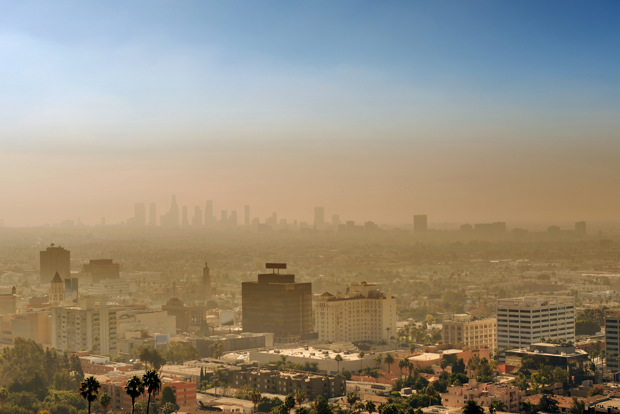 Around 120 Million People Live In Areas With Unhealthy Levels Of Air Pollution In The United 5097