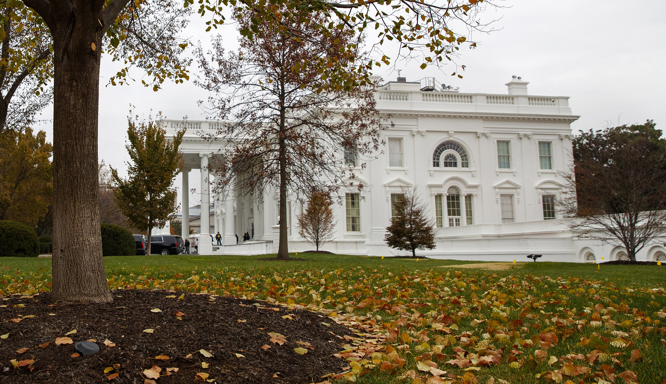 Fall foliage covers the North Lawn of the White House, Wednesday, Nov. 20, 2019, in Washington, as a public impeachment hearing of President Donald Trump's efforts to tie U.S. aid for Ukraine to investigations of his political opponents begins.