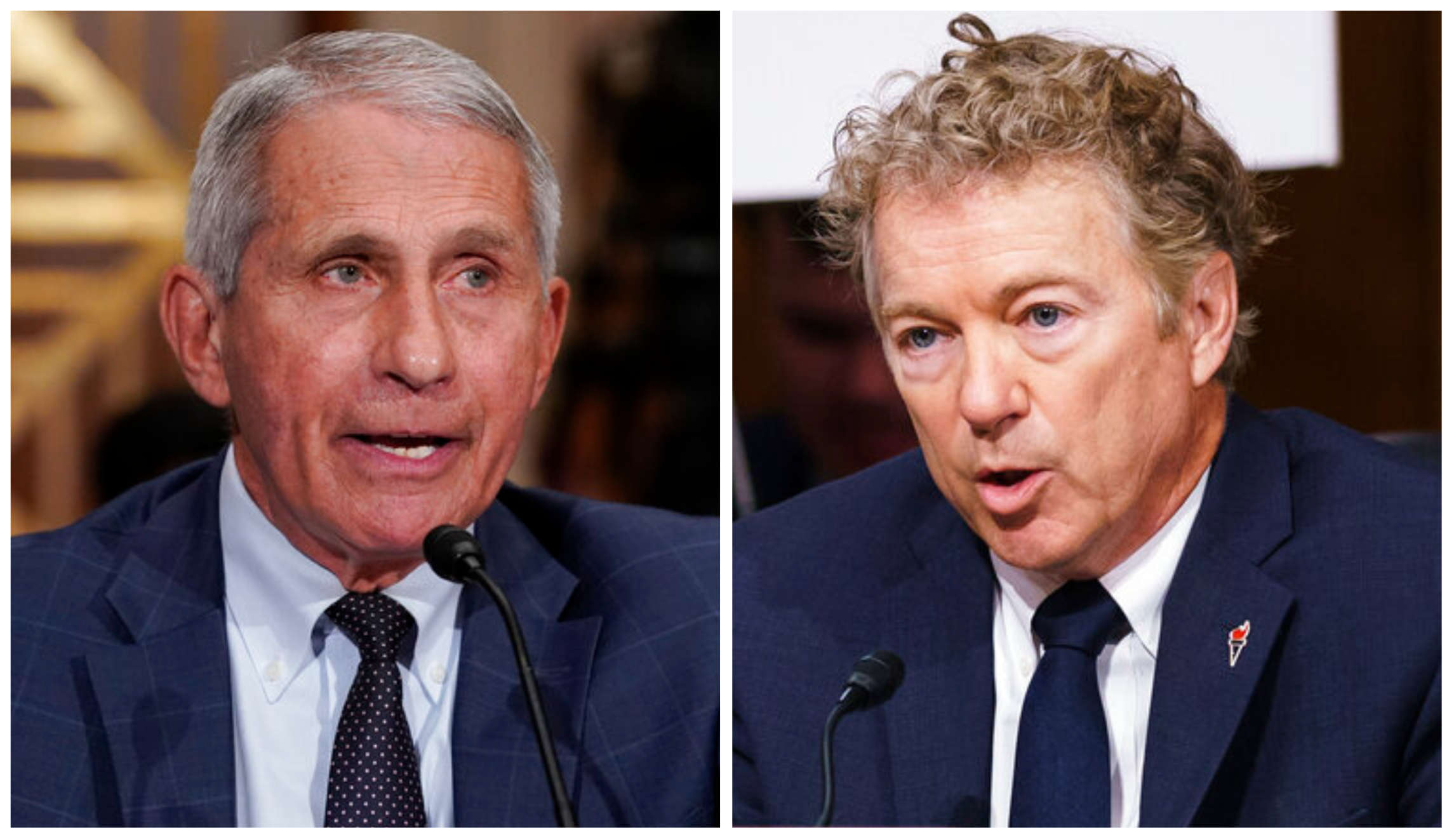 NextImg:Rand Paul claims Fauci 'should be in prison' over COVID 'dishonesty'