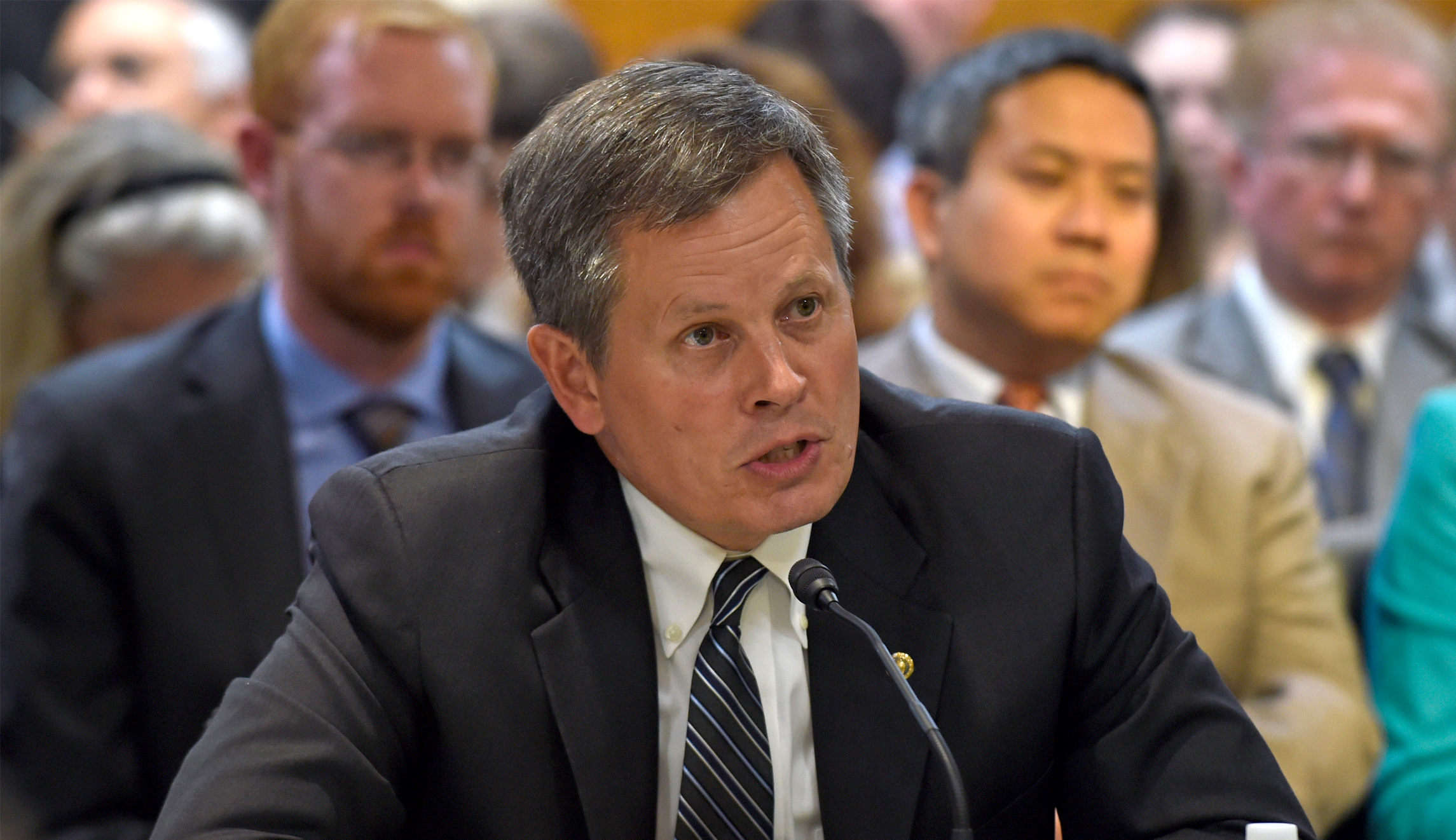 Steve Daines has Trump’s backing to keep marching towards Senate makeover