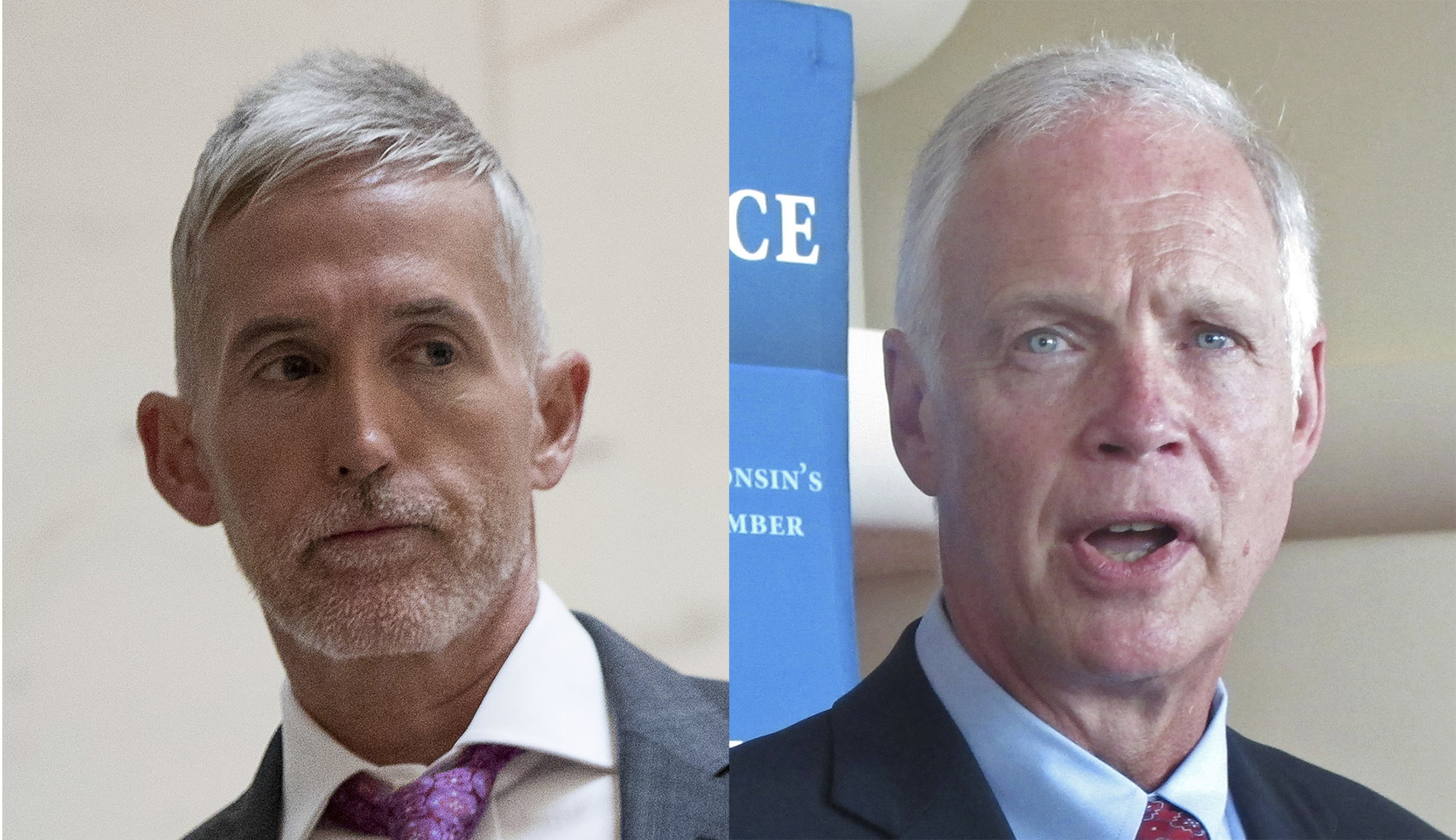 Trey Gowdy and Ron Johnson dig deeper on union leave policies after