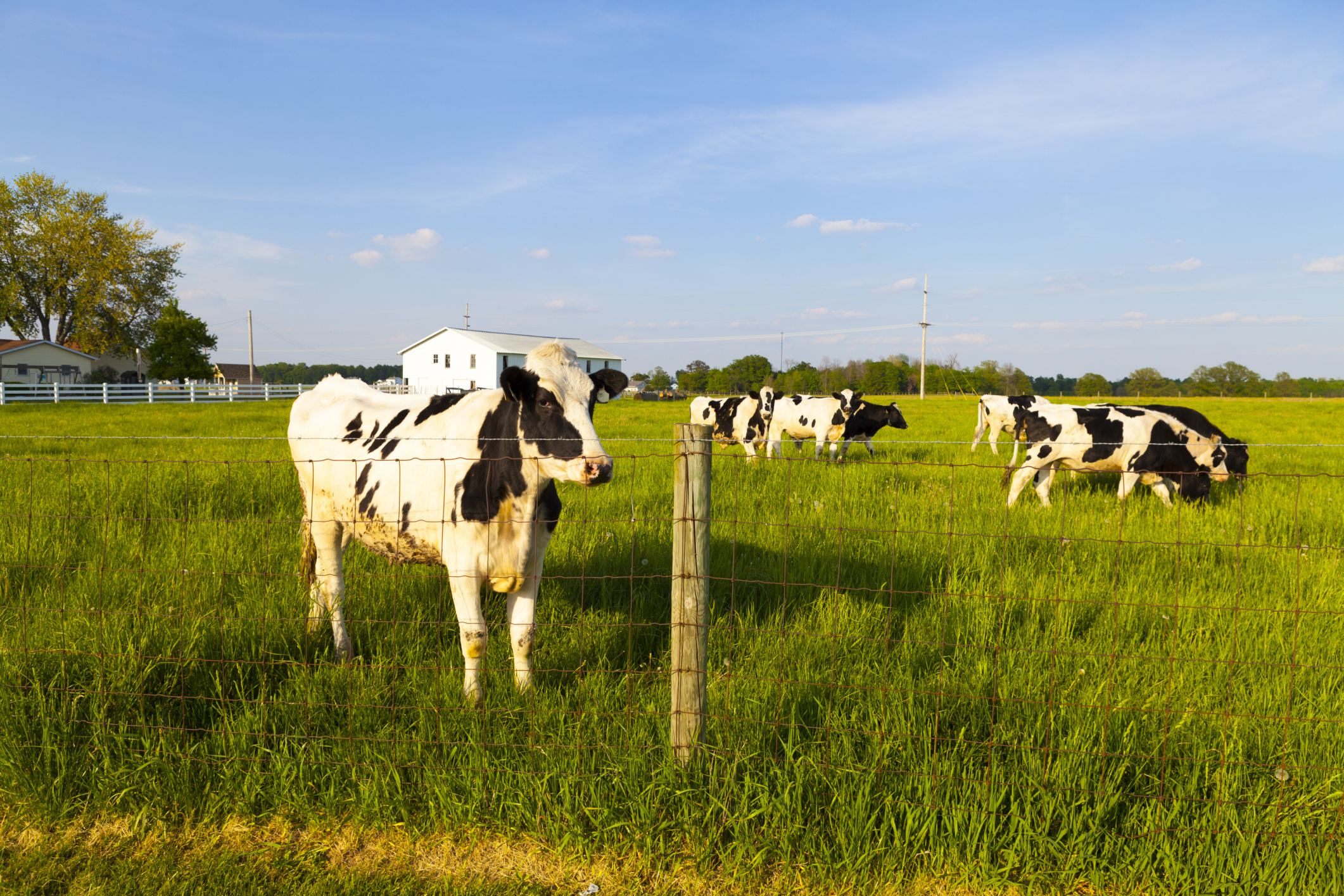 NextImg:Senators concerned over growing agricultural trade deficit - Washington Examiner