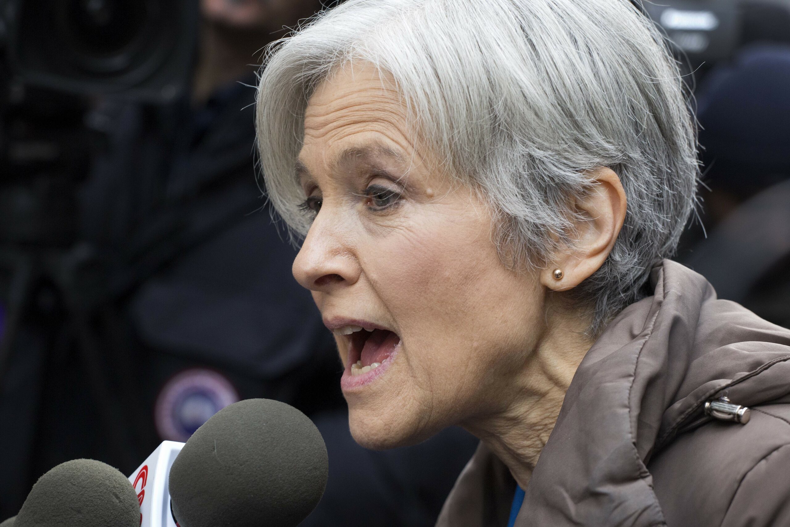 Jill Stein’s running mate ‘So be it’ if we played spoiler to Clinton