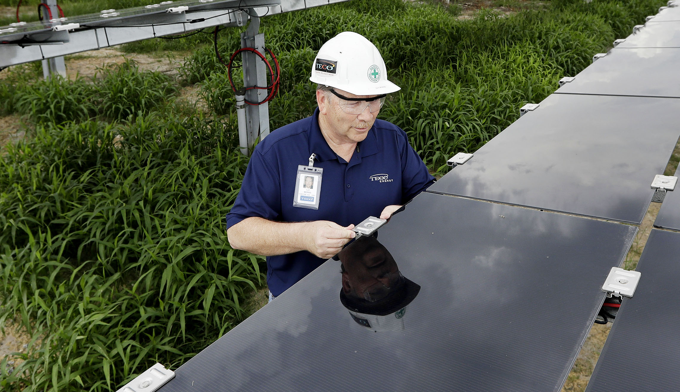 Solar Industry Blames Trump's Tariffs For Slow Third-quarter Growth ...