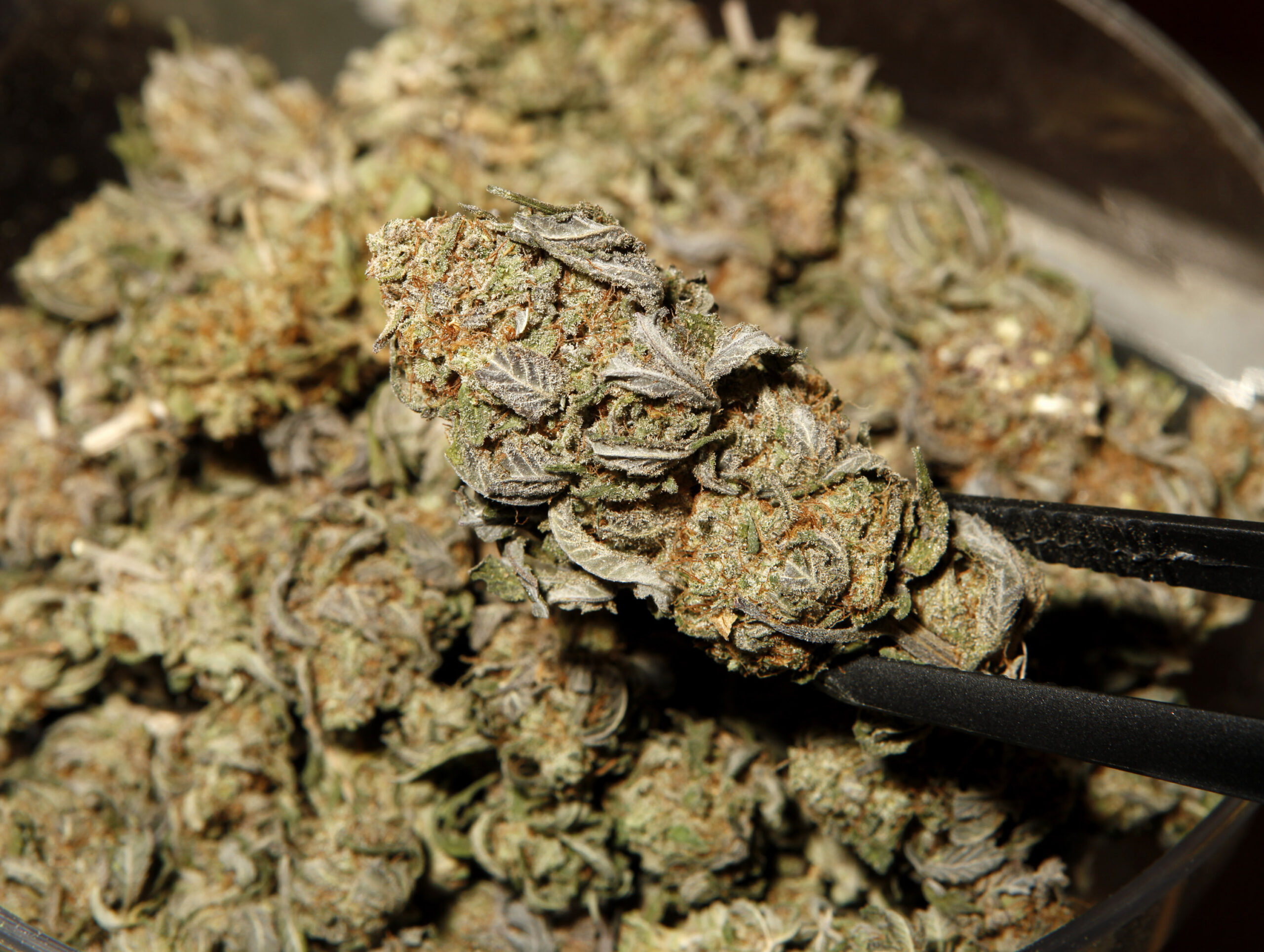 NextImg:Bill protects medical marijuana patients’ gun ownership rights - Washington Examiner
