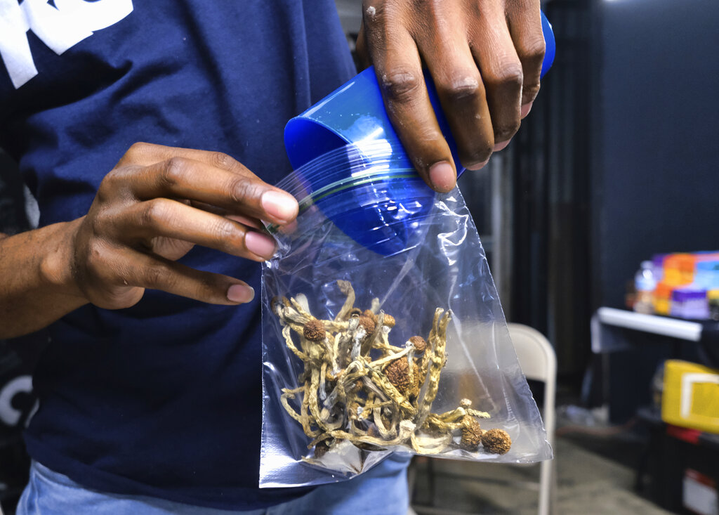 NextImg:Psychedelic mushrooms could soon be mental health treatment option for Arizonans - Washington Examiner