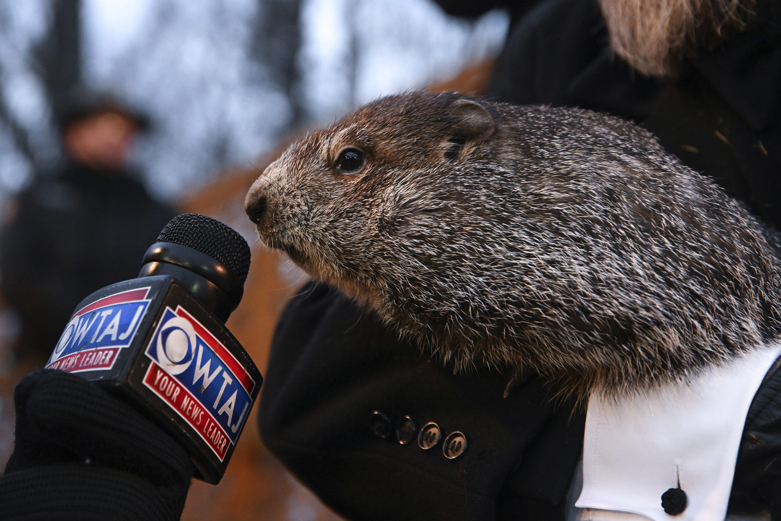 Groundhog Day 2023: Punxsutawney Phil reveals whether 2023 will see