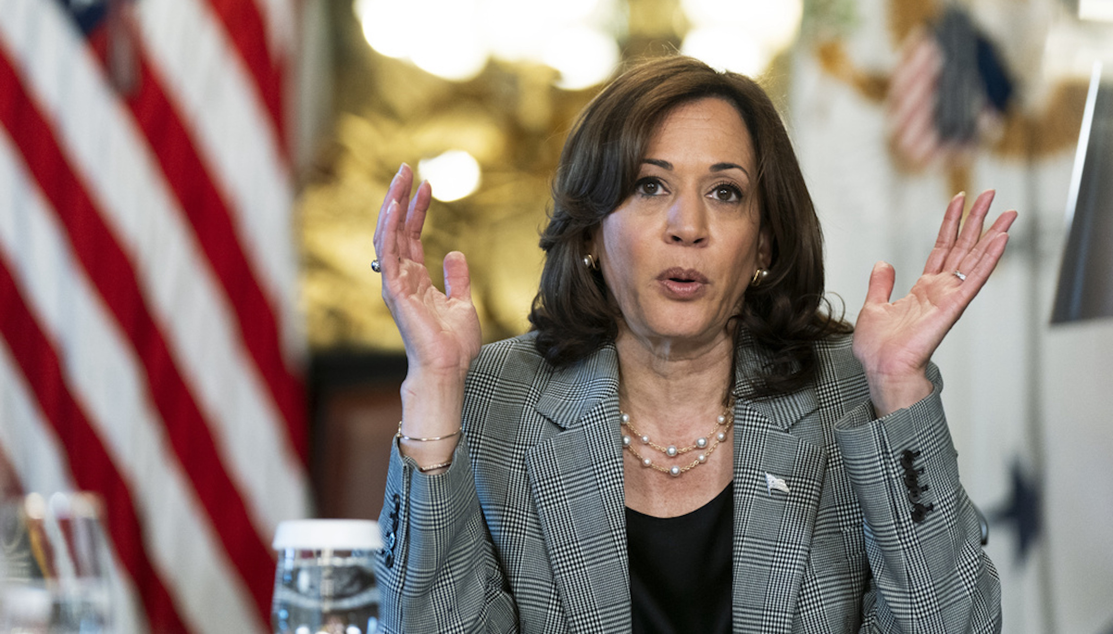 Kamala Harris’s mistake-filled week continues with call to ‘reduce ...