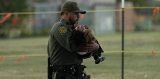 A U.S. Border Patrol agent helps a small migrant child that crossed the Rio Grande from Mexico to the U.S. with a group, Friday, Sept. 22, 2023, in Eagle Pass, Texas.