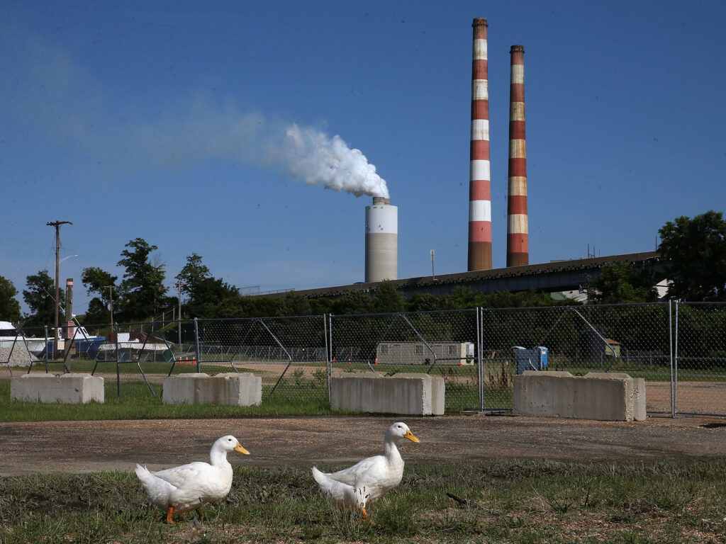Two white ducks walk along the beach at Aqualand Marina as emissions spew out of a large stack nearby at the coal-fired Morgantown Generating Station on the Potomac River on June 29, 2015 in Newburg, Maryland. (Photo by Mark Wilson/Getty Images)