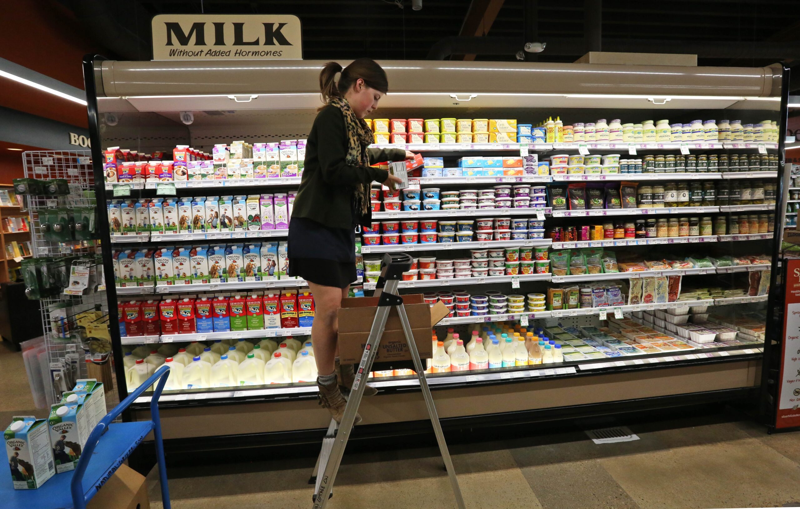 NextImg:Food stamps: February payments to Colorado residents worth up to $1,751 begin in eight days