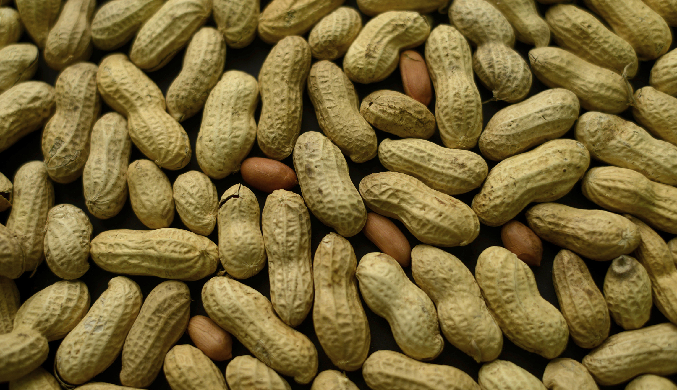 NextImg:Student peanut prank on allergic teammate not deemed as ‘bullying’: School district - Washington Examiner