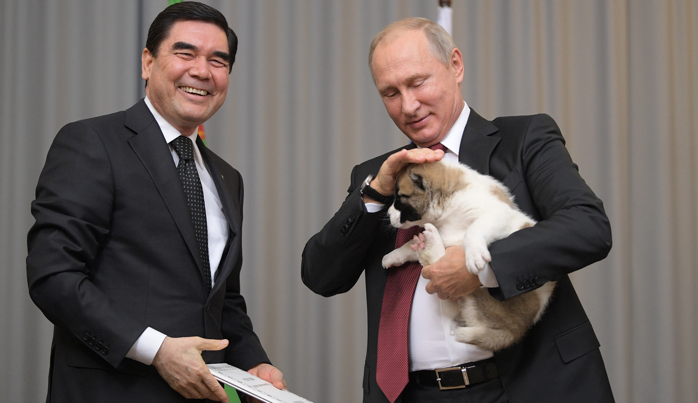 WATCH: Putin Gets A Puppy From Turkmenistan's President - Washington ...