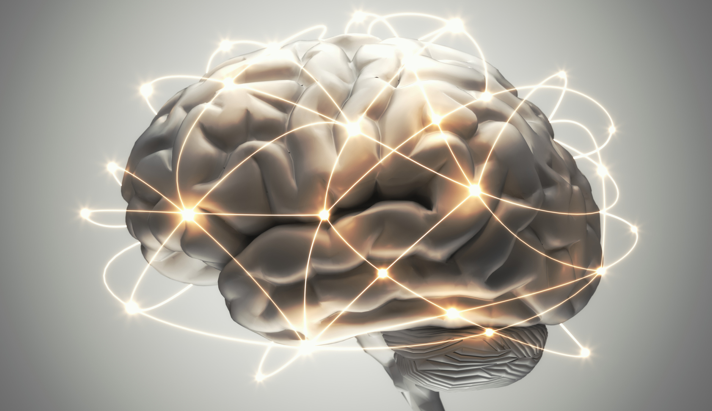 Paul Bloom’s journey through the mind Washington Examiner