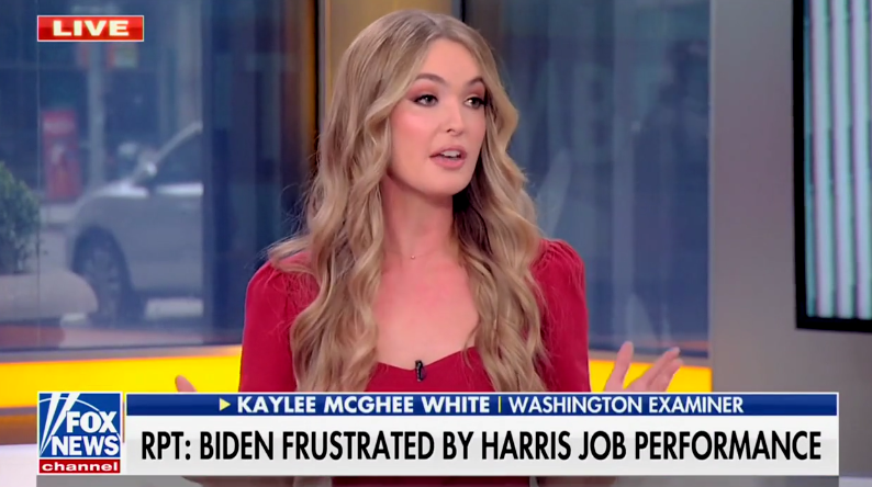 WATCH: Kaylee McGhee White doesn’t blame Biden for being frustrated ...