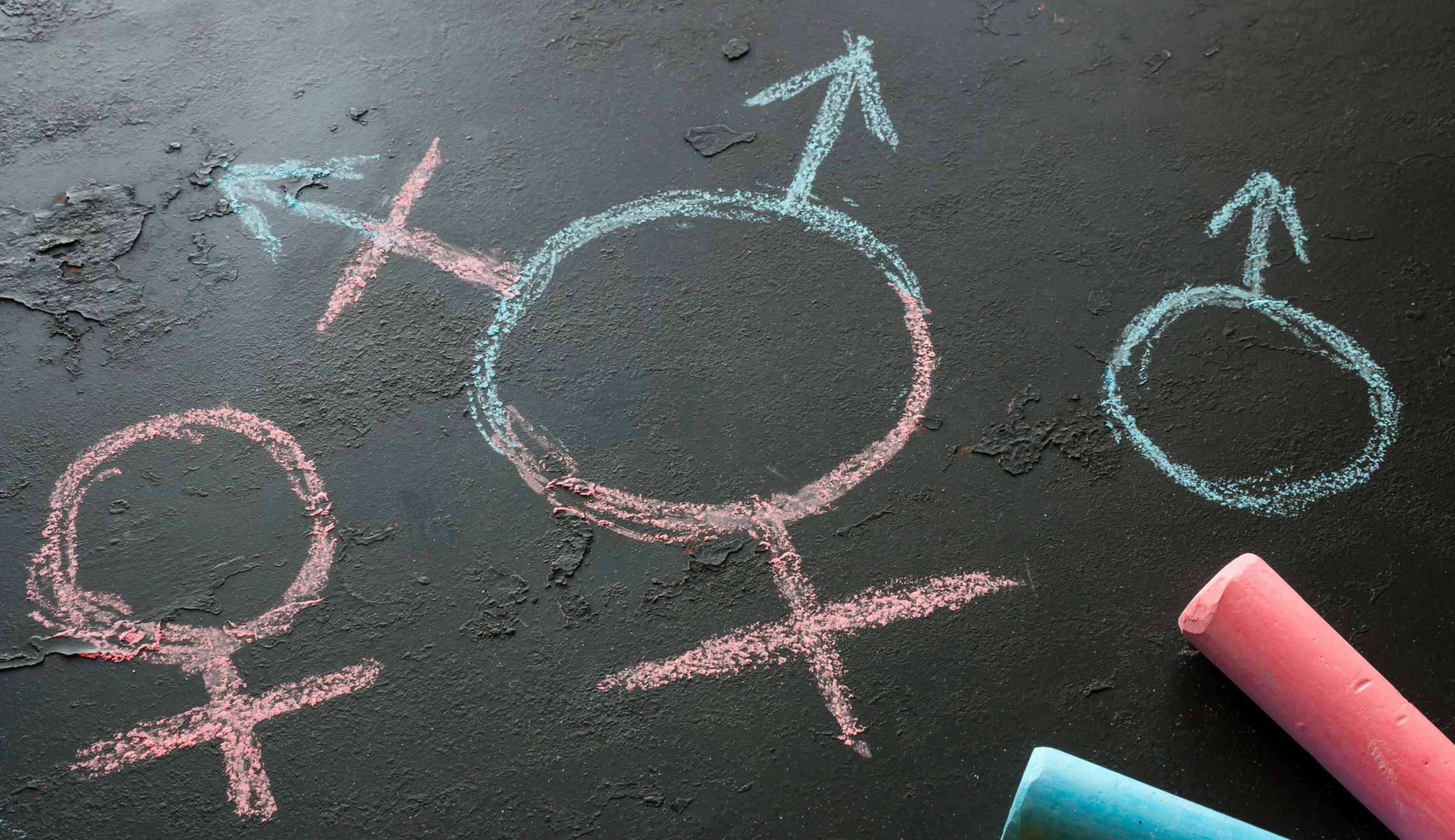 NextImg:US must follow the UK’s lead and abandon the gender experiment - Washington Examiner