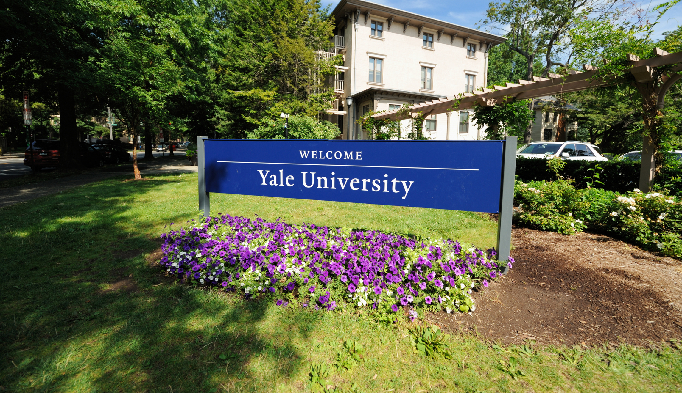 NextImg:The political lesson in Yale’s return to standardized tests - Washington Examiner