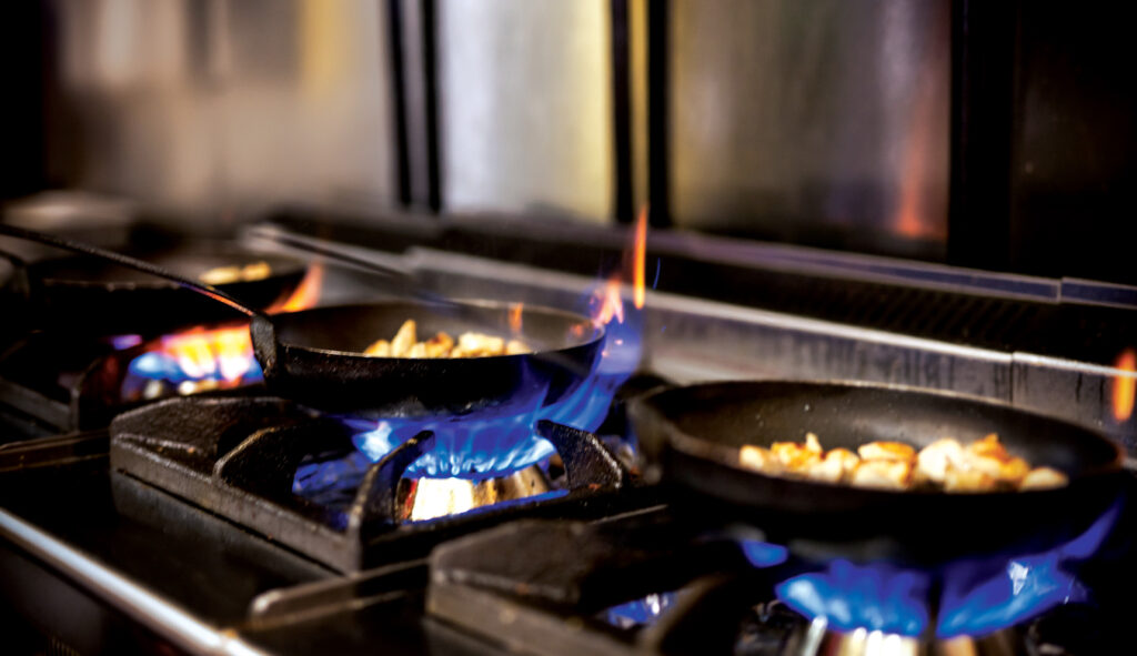 House Republicans use final spending bill to put an end to attempts to restrict gas stoves