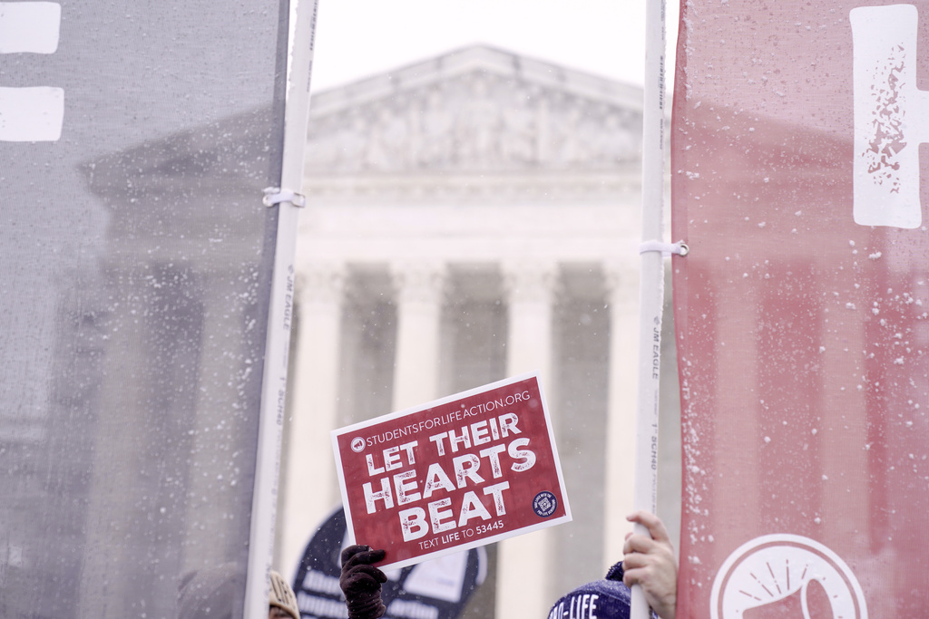 NextImg:A little snow can't stop the March for Life