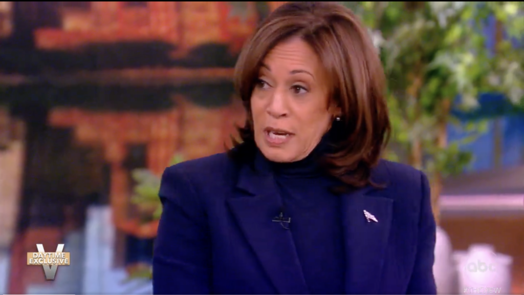 NextImg:Harris says she's 'scared as heck' of Trump and knocks Haley's racism comments