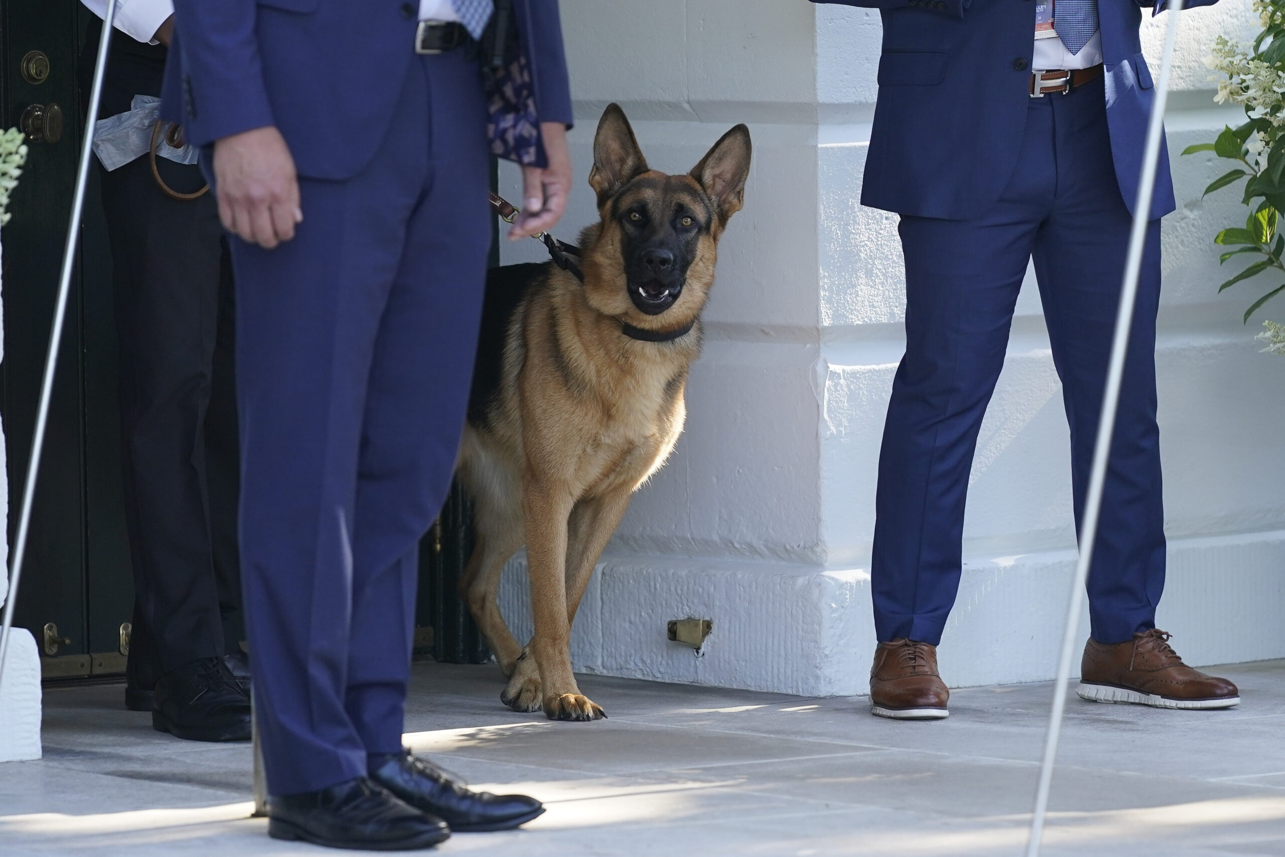 Biden’s 24 attacks on White House staff led Secret Service to employ innovative measures for personal safety