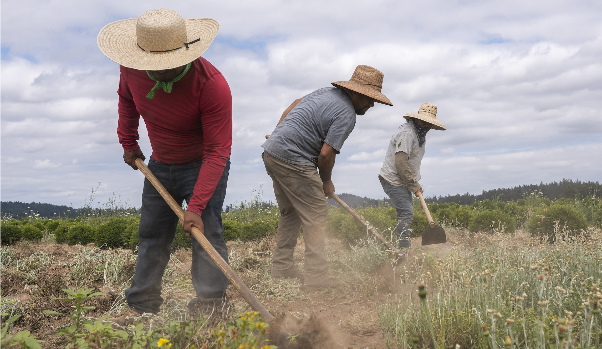 NextImg:Immigrant surge under Biden triggers positive effect on US workers: Study