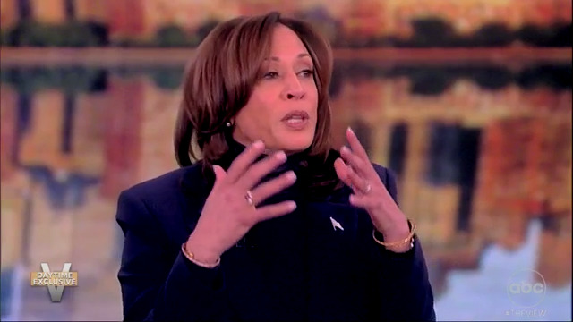 NextImg:Kamala Harris responds to critics of Biden's age: 'They have nothing to run on'