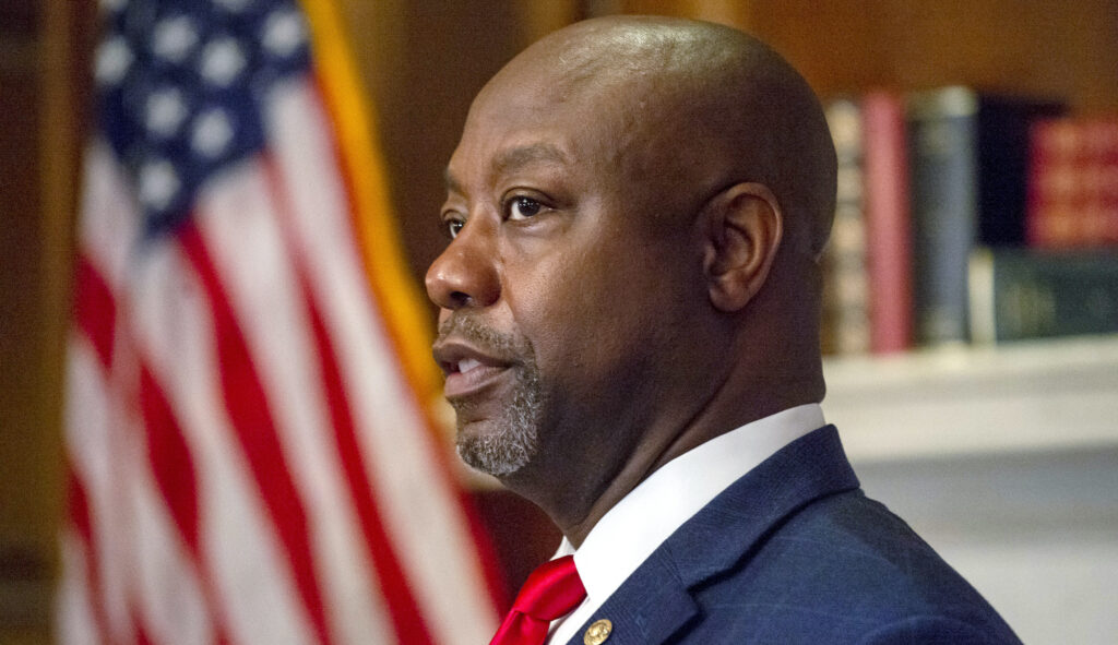 NextImg:Tim Scott slams Biden administration: 'Made victims out of people'