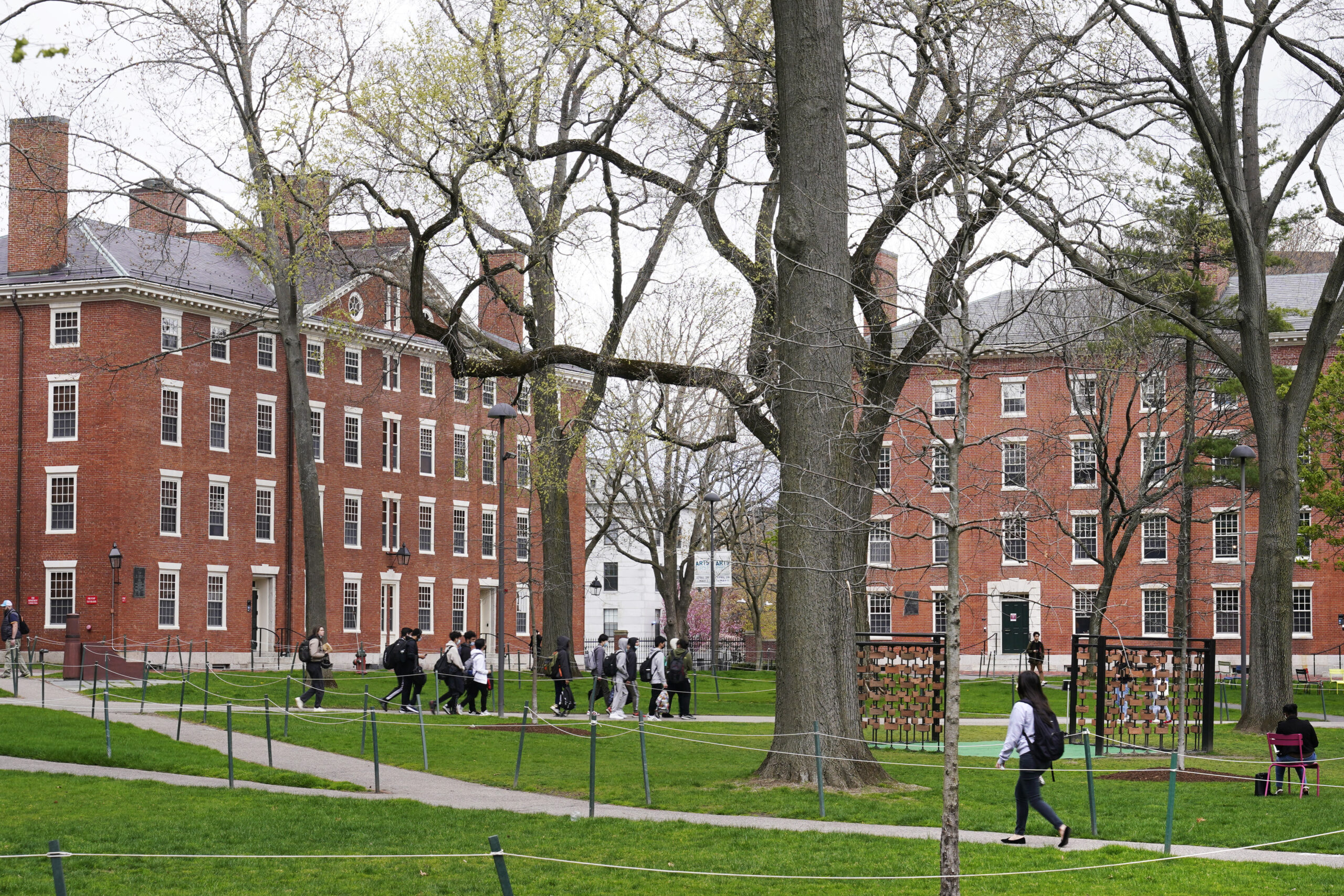 NextImg:Why it is good that fewer people are going to college - Washington Examiner