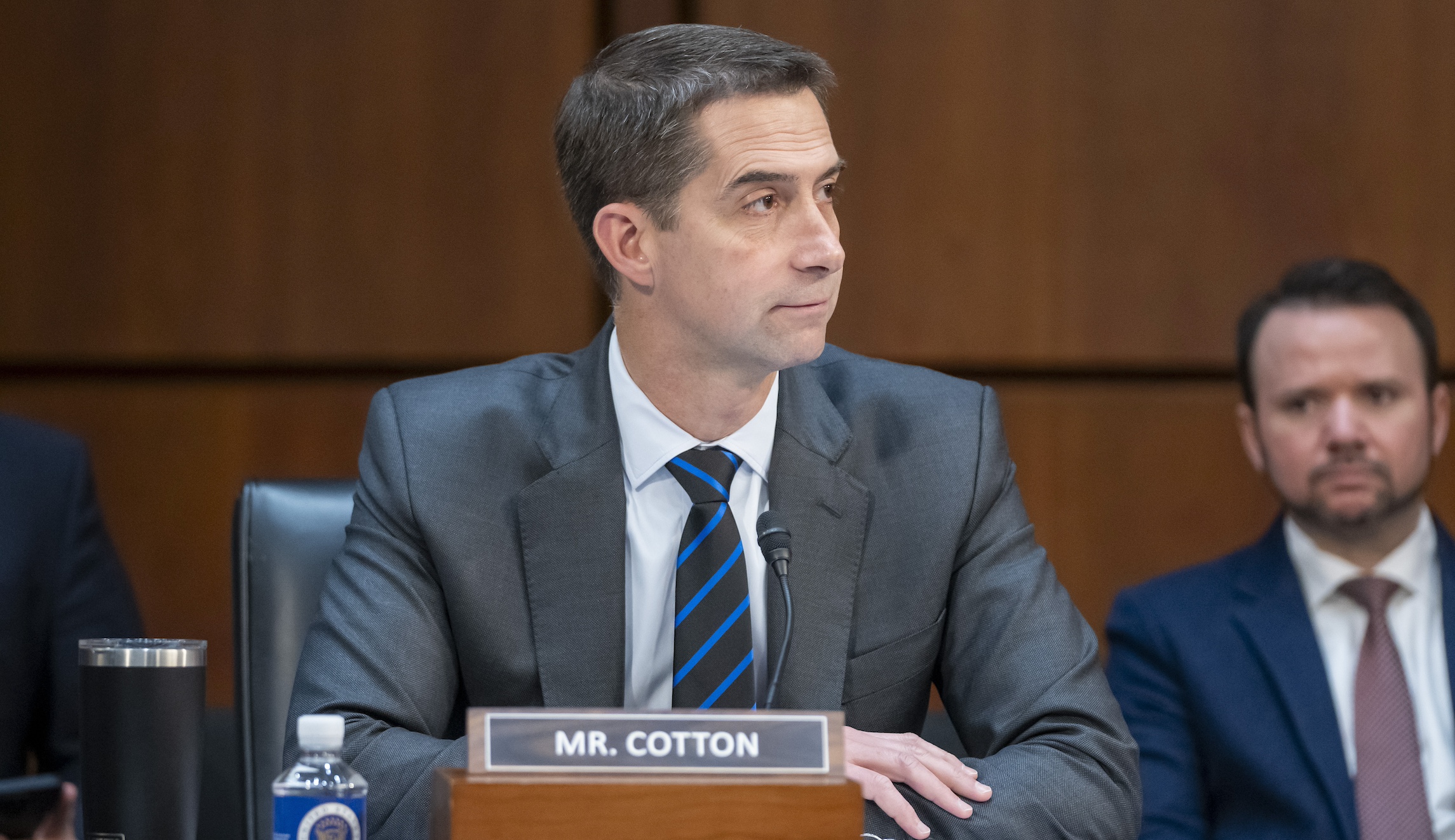 Tom Cotton criticized for ‘racist’ questioning of TikTok CEO by Asian American caucus