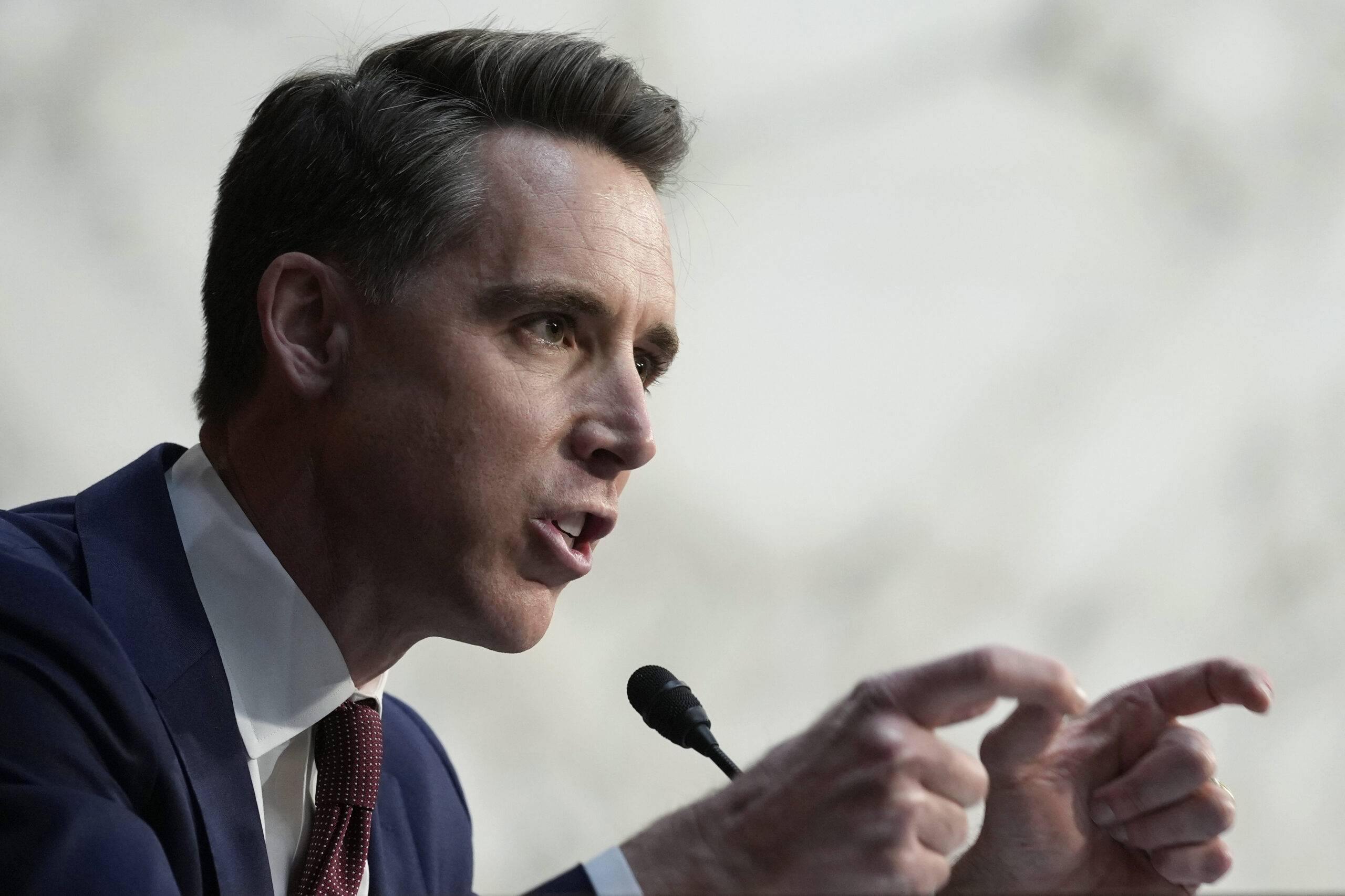 NextImg:Hawley says Biden making border visit is a ‘middle finger to middle America’ - Washington Examiner