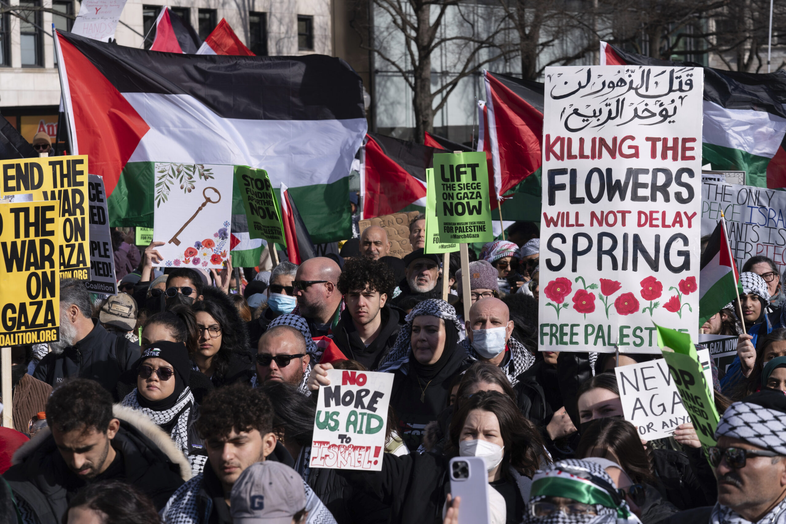 NextImg:Virginia high school teacher ‘not returning’ to work after Israel-Gaza ‘genocide’ rant - Washington Examiner