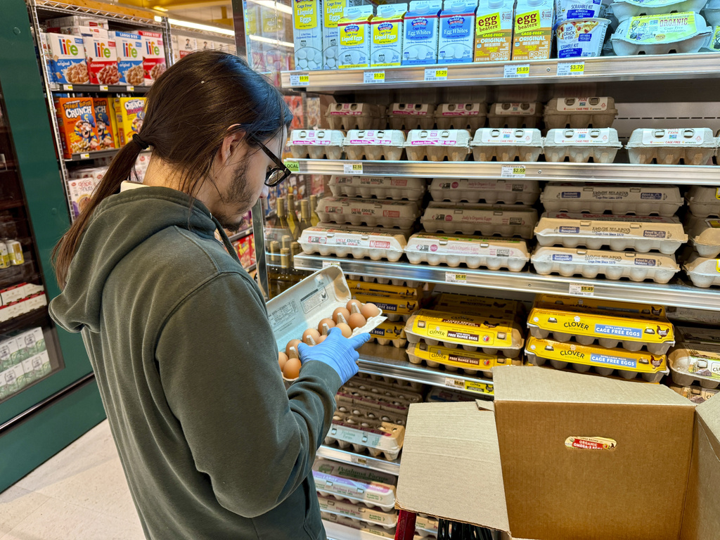 NextImg:Bird flu, weather, and inflation conspire to keep egg prices near historic highs for Easter - Washington Examiner