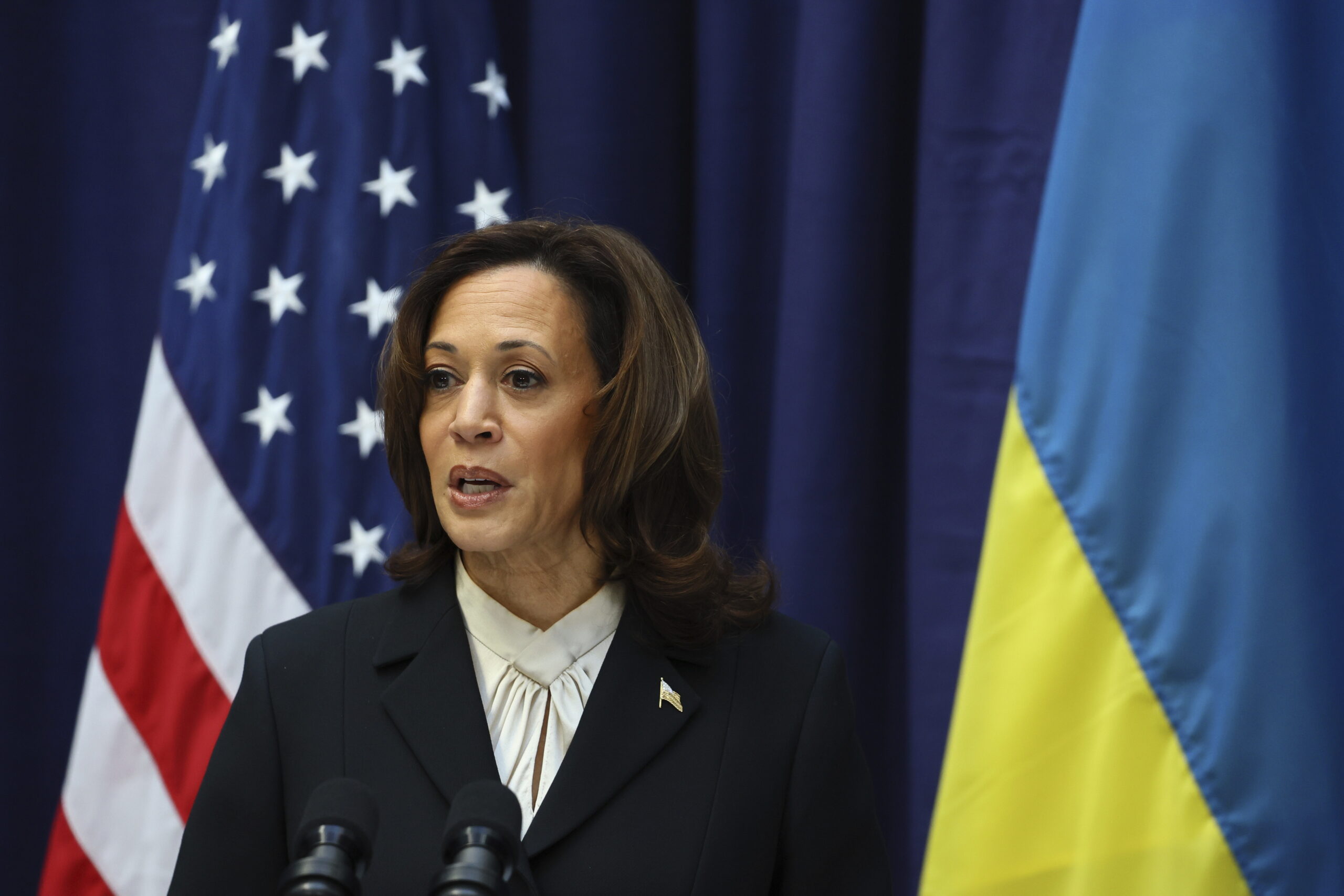 NextImg:US will help Ukraine for ‘as long as it takes’: Harris - Washington Examiner