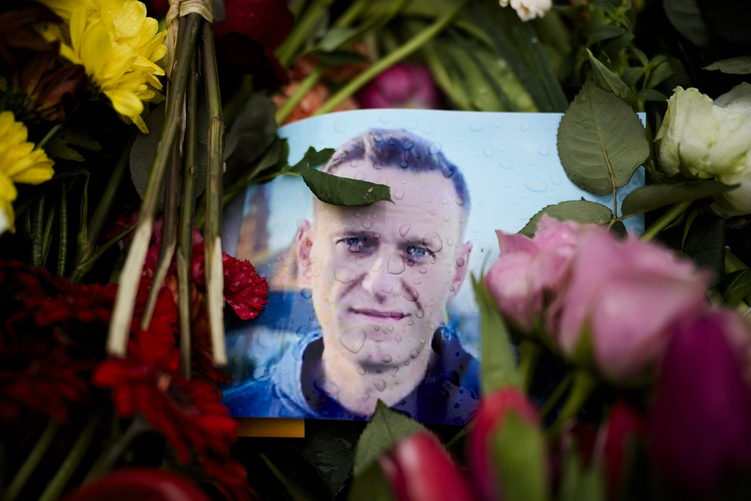 NextImg:Kremlin hands over body of Alexei Navalny to mother after days of resistance