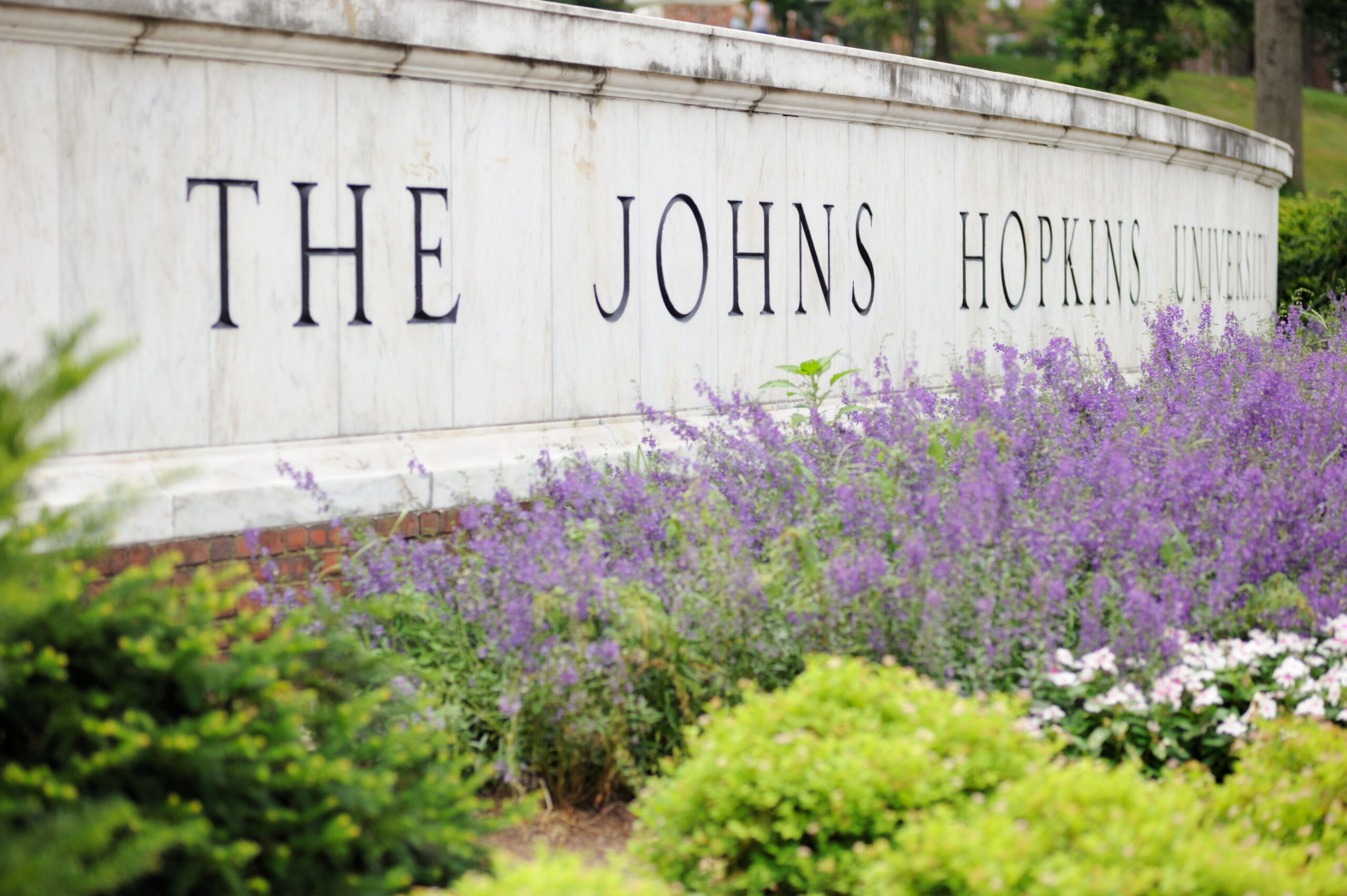 Johns Hopkins renames ‘citizenship’ as ‘colonialism’ at critical studies center