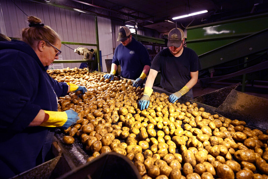 Digging into the details: Senators from both parties agree that potatoes should be classified as vegetables, not grains