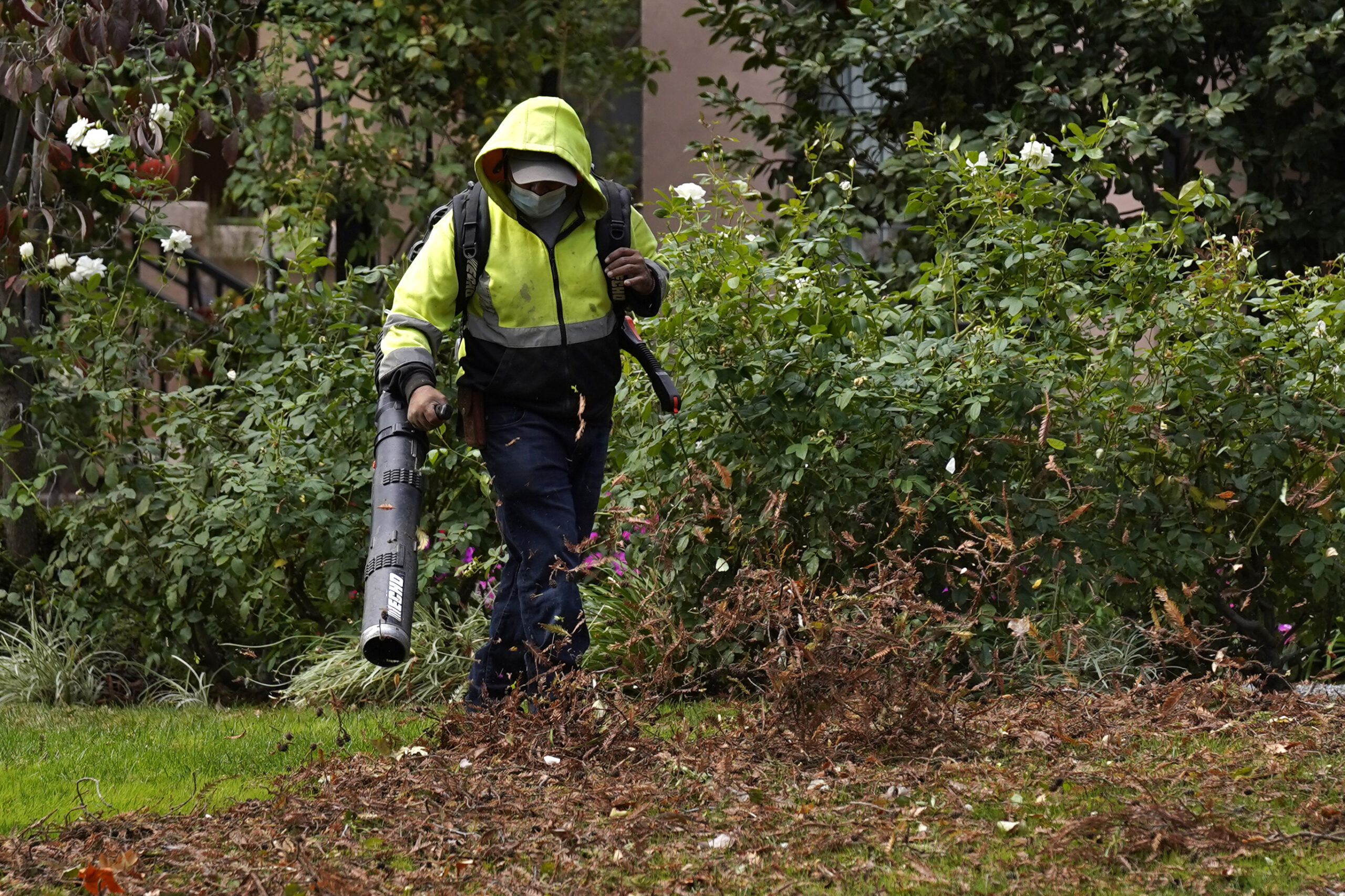 NextImg:Chicago suburb keeps gas blower ban over Hispanic landscapers’ objections - Washington Examiner