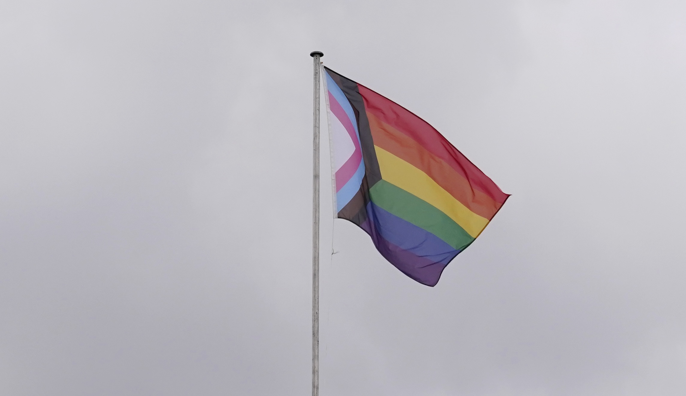 NextImg:White House vows to work to repeal pride flag ban passed with spending bill - Washington Examiner