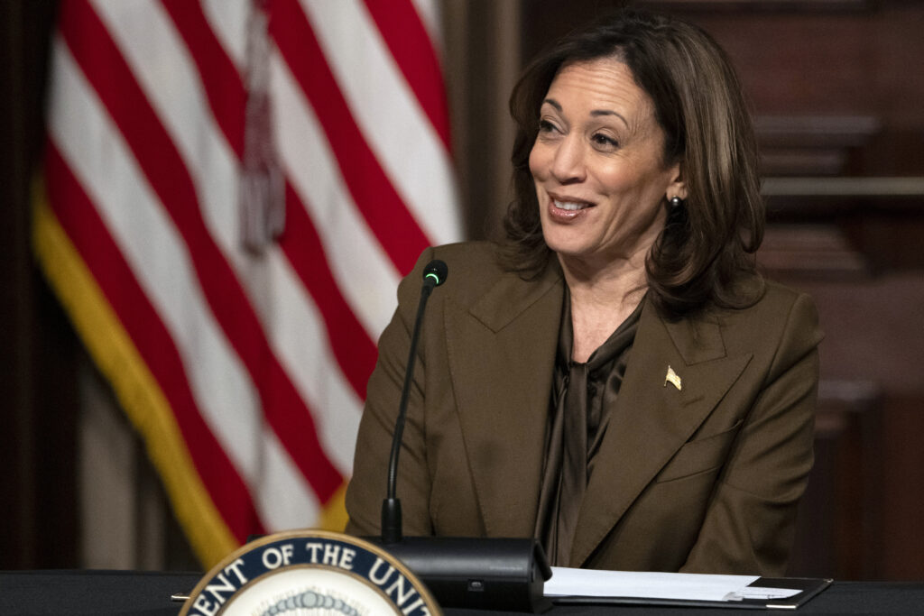 Kamala Harris Faces Challenges Gaining Swing Voter Trust Despite Democratic Backing