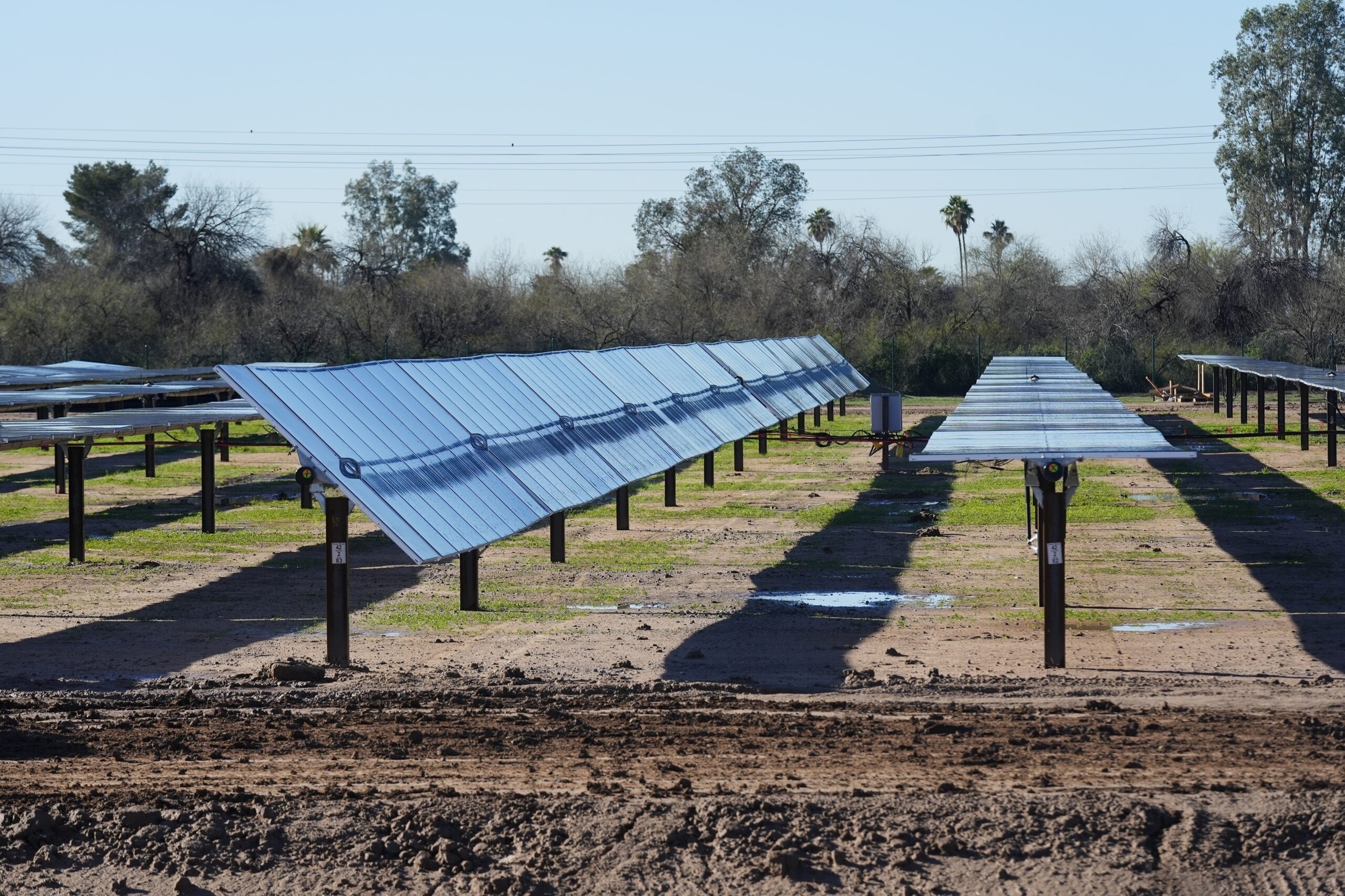 NextImg:USDA sends $6M to Pennsylvania for solar projects - Washington Examiner