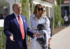 Trump blasted ‘chain migration’ policies that made it easier for Melania Trump’s mother to come to US