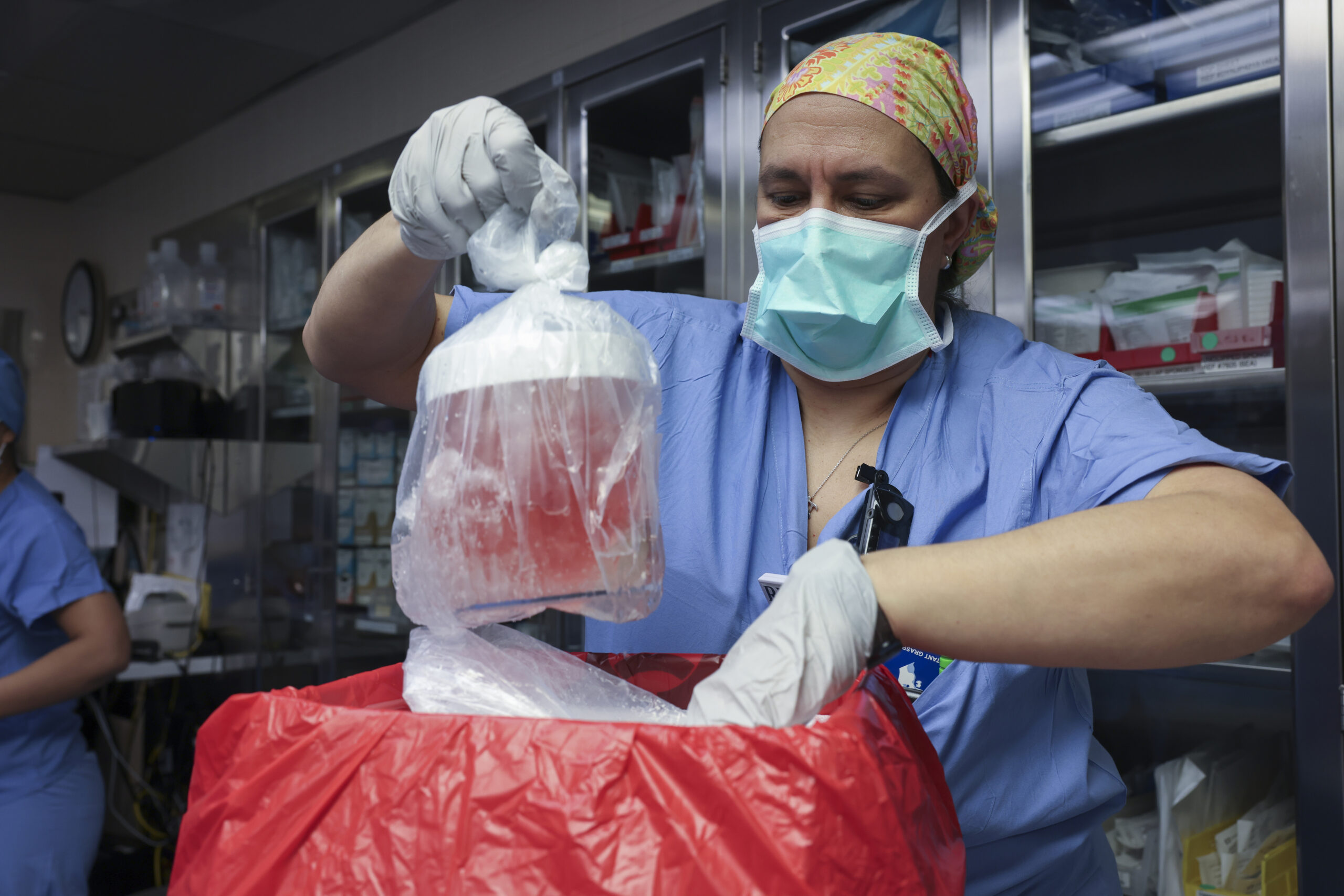 NextImg:US surgeons have transplanted a pig kidney into a patient - Washington Examiner