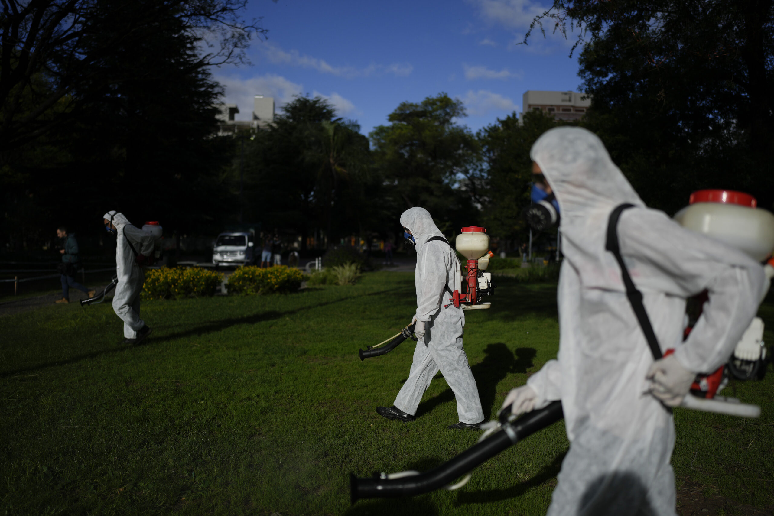 NextImg:Puerto Rico has declared an epidemic following a spike in dengue cases - Washington Examiner