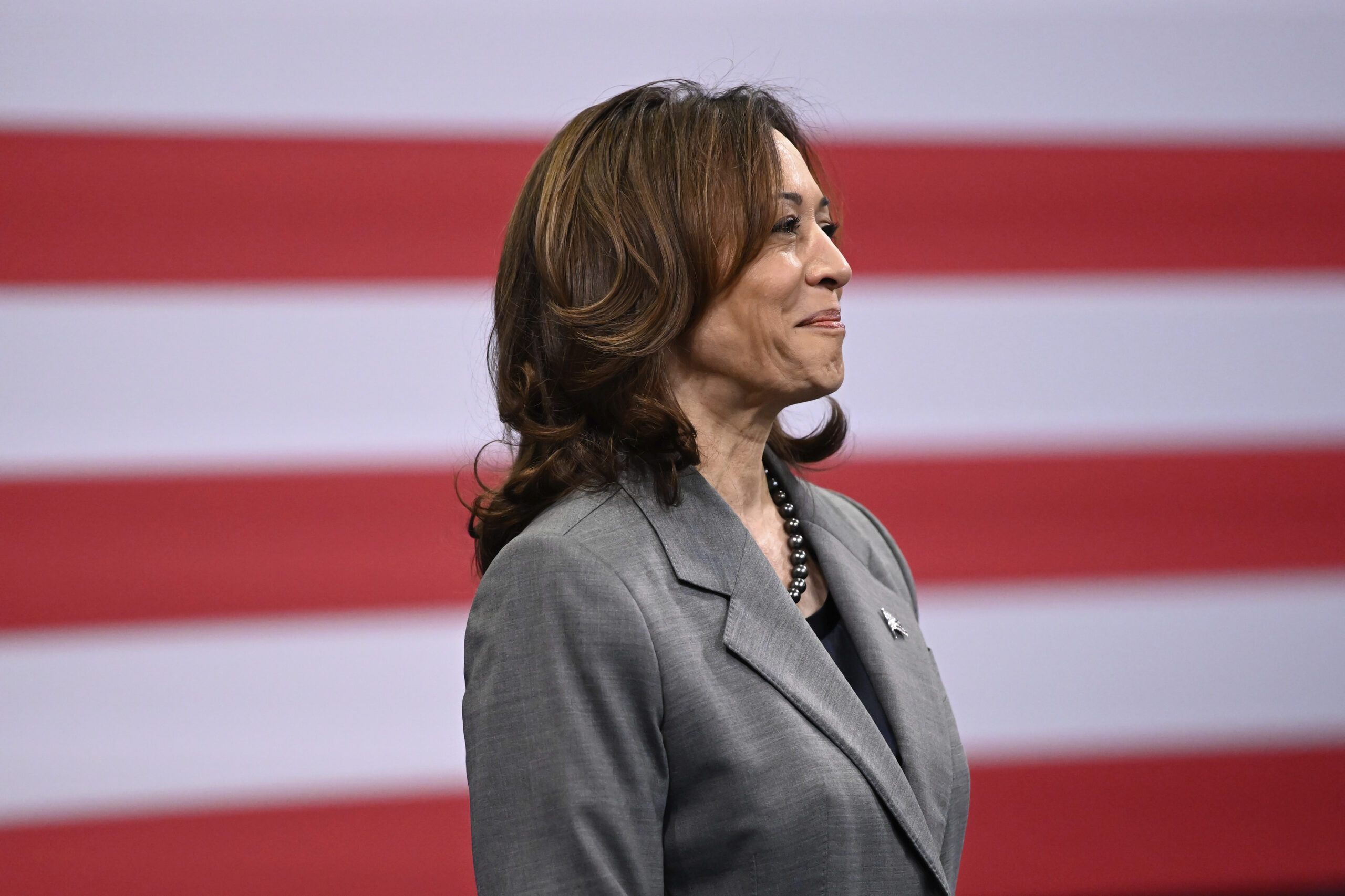NextImg:Harris tries to chip away at her disapproval rating in preparation for November - Washington Examiner